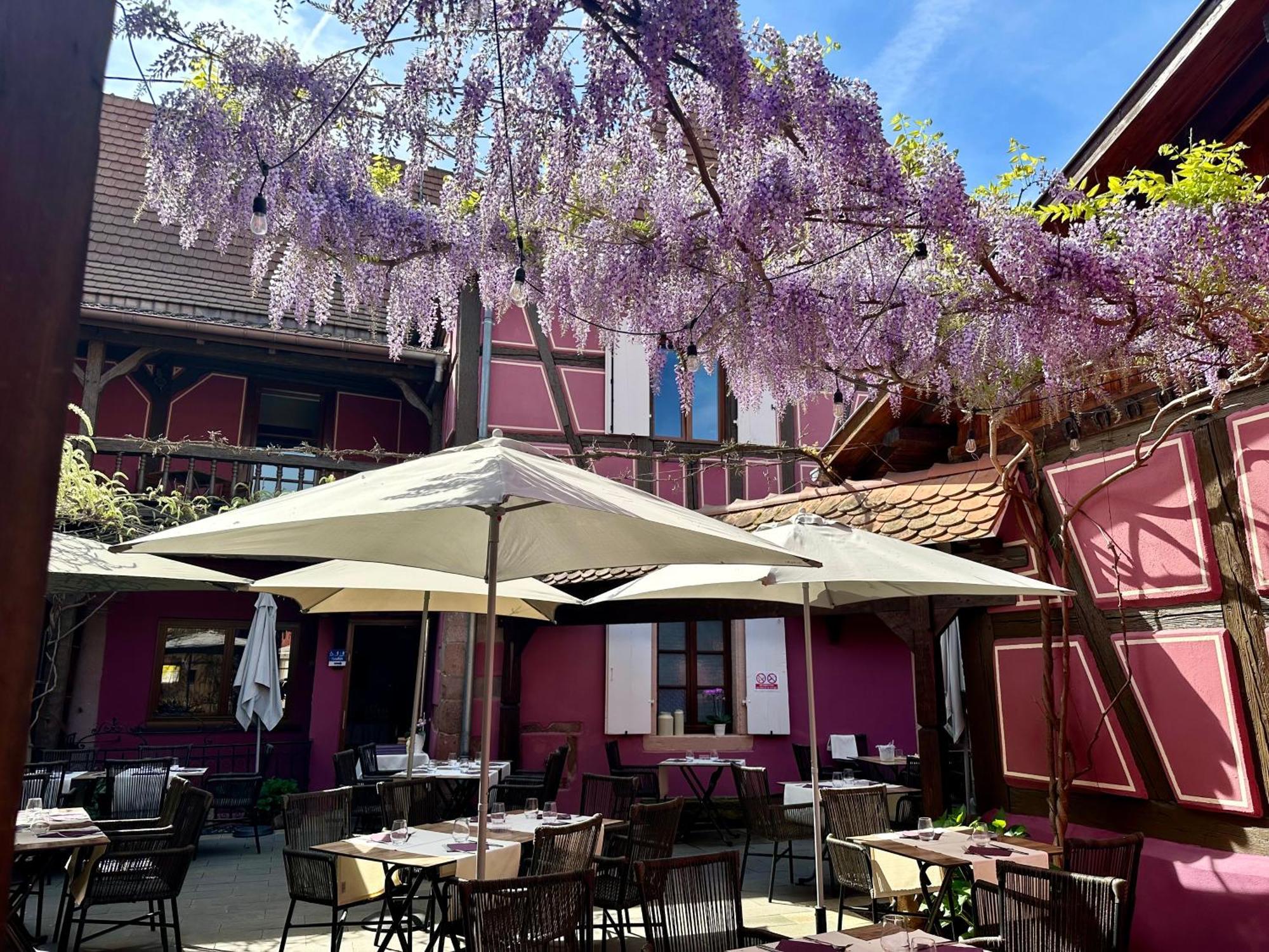 Auberge Le Meisenberg Châtenois エクステリア 写真