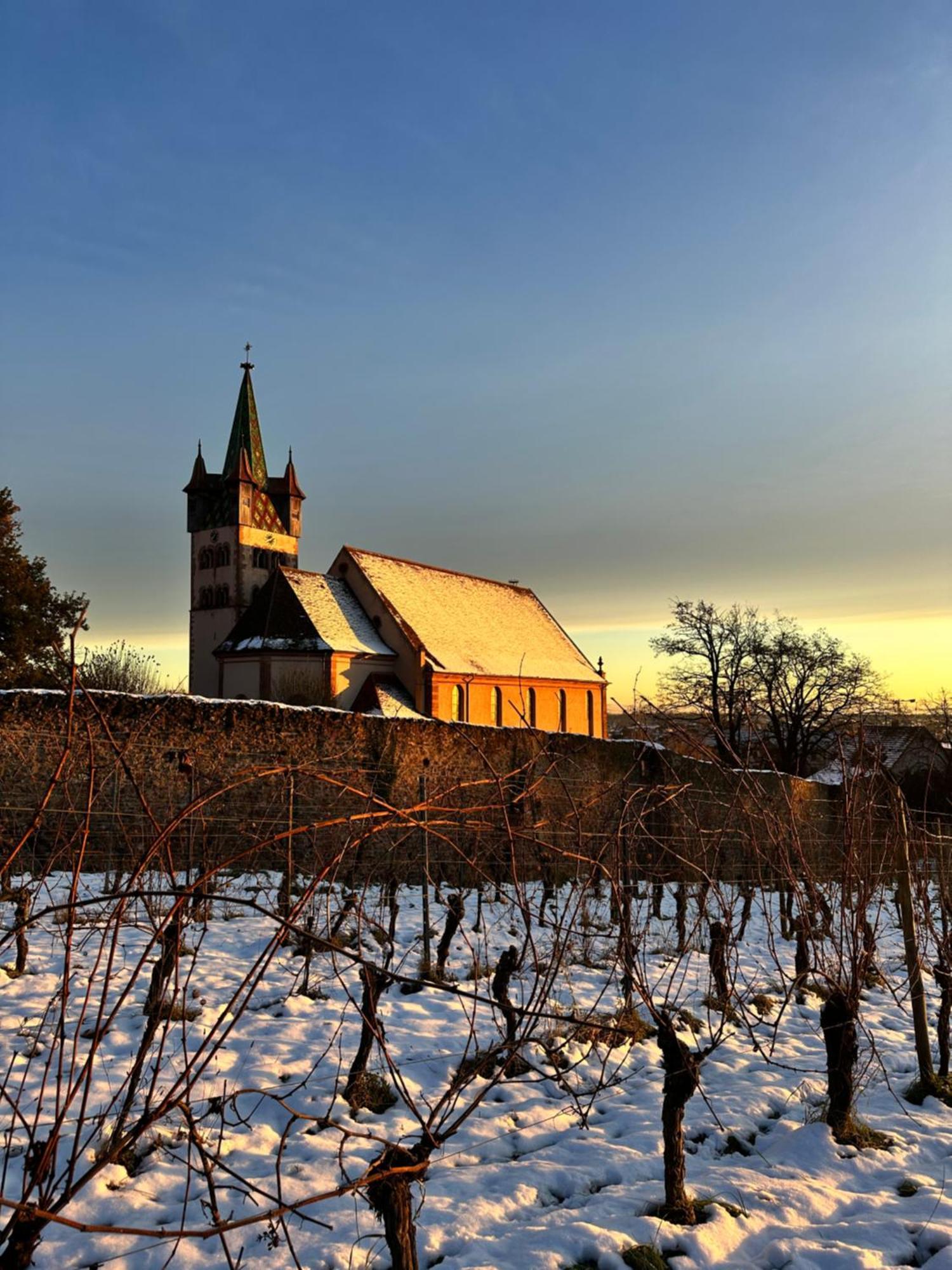 Auberge Le Meisenberg Châtenois エクステリア 写真