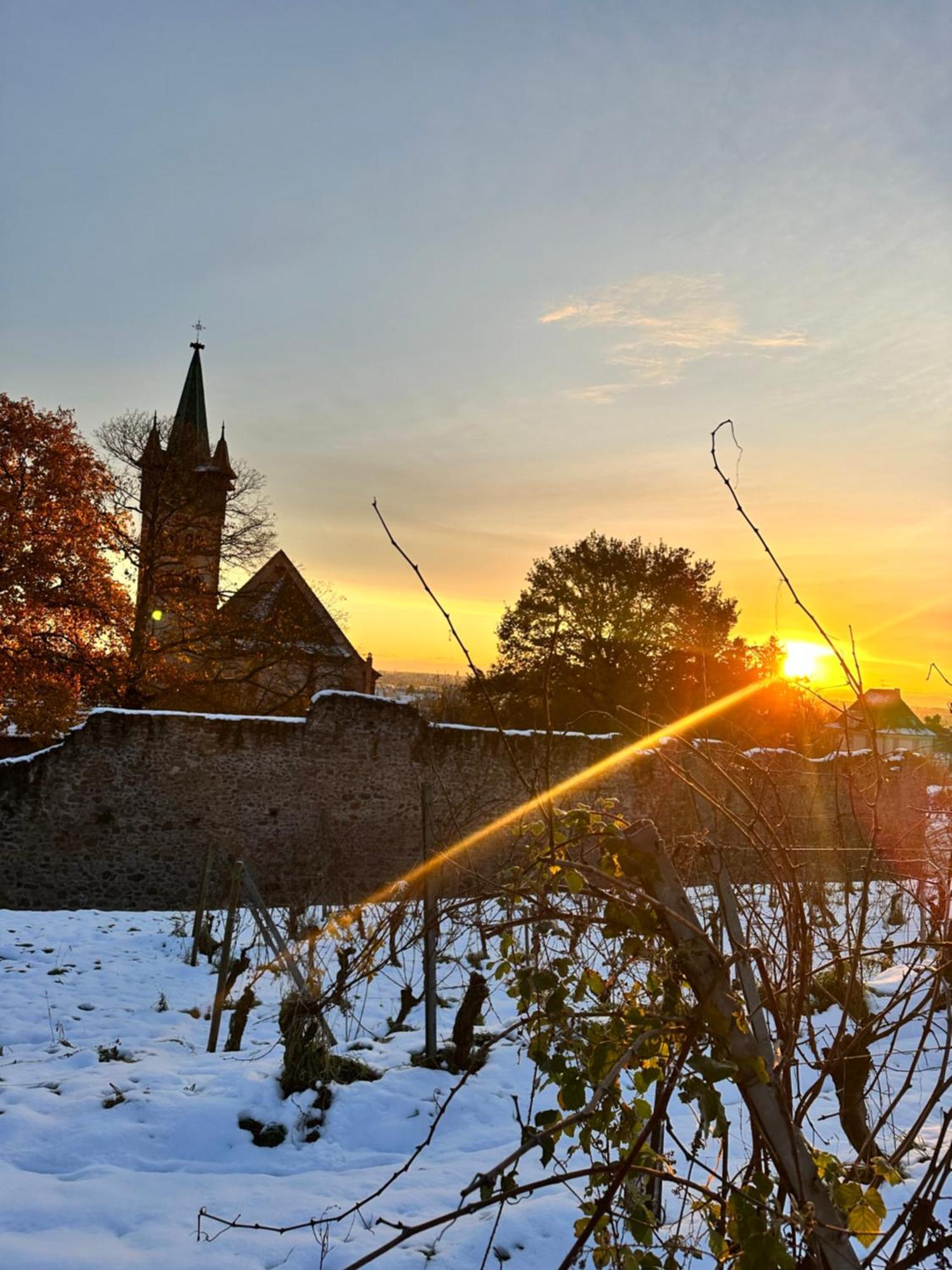 Auberge Le Meisenberg Châtenois エクステリア 写真